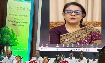 বন ভবিষ্যৎ প্রজন্মের নিরাপত্তার ভিত্তি: পরিবেশ উপদেষ্টা