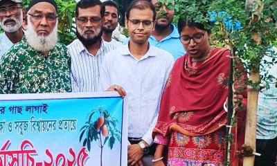 সবুজ বিশ্বায়নের প্রত্যয়ে ঝিকরগাছায় বৃক্ষরোপণ কর্মসূচি পালিত