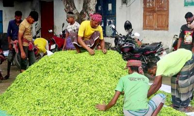৪০ টাকার কাঁচা মরিচ এক সপ্তাহের ব্যবধানে ২৪০ টাকা
