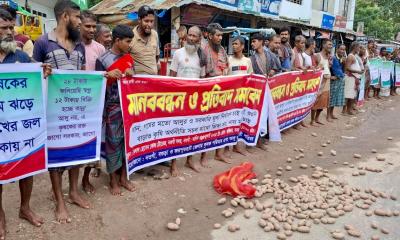 আলুর ন্যায্য মূল্যের দাবিতে সড়কে আলু ফেলে কৃষকদের মানববন্ধন 