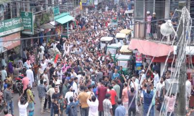 বিশ্বনাথে বিএনপির বিজয় মিছিল
