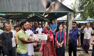 বাঘায় ২শত ঘুঘু উদ্ধার, দোকানির জরিমানা