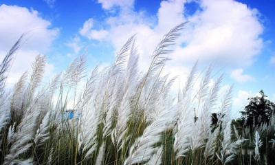 শরতের প্রথম দিন আজ