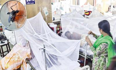 ডেঙ্গুতে একদিনে আরও ৫ মৃত্যু, হাসপাতালে ৬২২