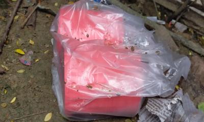 গাংনীতে দুটি বোমা সদৃশ্য বস্তু উদ্ধার