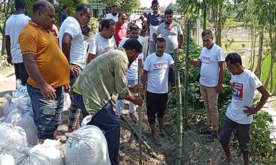 লালমনিরহাটে যুবদলের উদ্যোগে রাস্তা সংস্কার