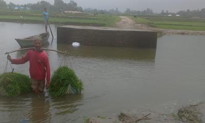সোনাতলায় বর্ষায় রাস্তা ভেঙ্গে খাদে পরিণত, ভরসা নৌকায়