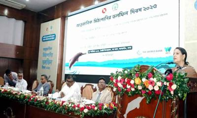 নদী দূষণে হুমকিতে ডলফিন, বিপদে মানুষও