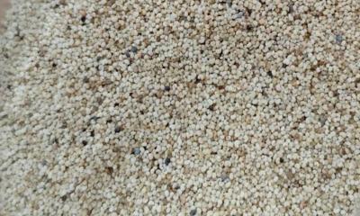 পাখির খাদ্যের আড়ালে পাকিস্তান থেকে এলো ২৫ হাজার কেজি মাদক