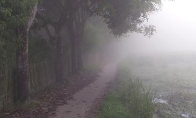 সারাদেশের বাতাসে বইছে হালকা শীতের ছোঁয়া