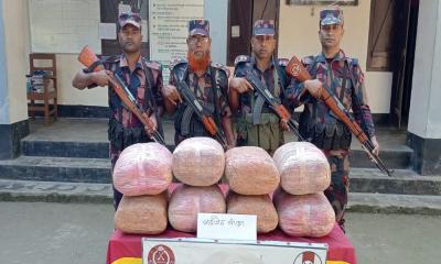 ফুলবাড়ী সীমান্তে দেড় লক্ষাধিক টাকার গাঁজা উদ্ধার