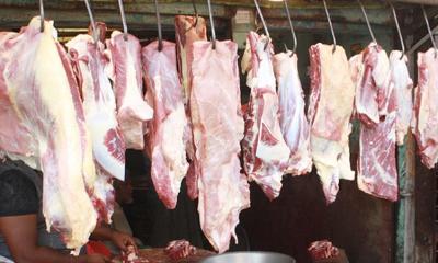 লোহাগড়ায় পশু জবাইয়ে নেই নীতিমালা