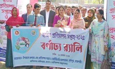 দুর্গাপুরে জাতীয় প্রাণিসম্পদ উদ্বোধন ও আলোচনা সভা‎