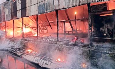 সিরাজগঞ্জে পৃথক অগ্নিকাণ্ডে পাঁচ গরু ও শাড়ি কারখানা পুড়ে ছাই