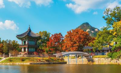 নতুন বছরে বিশ্বভ্রমণের নতুন নিয়ম