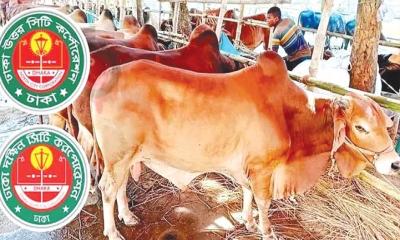 রাজধানীতে বসছে ২৬ অস্থায়ী হাট