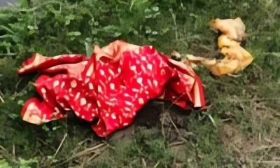 মহাসড়কে নারীর মরদেহ উদ্ধার, পাশে বিয়ের লাল শাড়ি