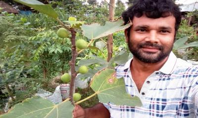 কাতার এয়ার ওয়েজের ন্যাক্কারজনক আচরণ