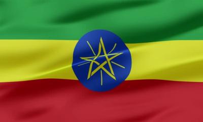 ইথিওপিয়ায় ই-পাসপোর্ট সেবা চালু