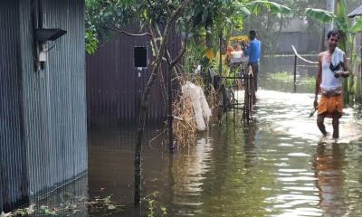 লালমনিরহাটে বানভাসি মানুষের হাহাকার