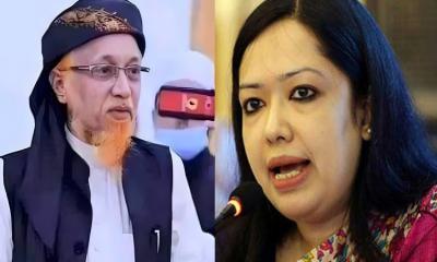 জোটের প্রার্থী হাবিব, মনোনয়ন না পেলেও লড়বেন রুমিন ফারহানা