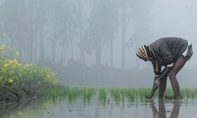 ২৪ জেলায় শৈত্যপ্রবাহ, অব্যাহত থাকার আভাস