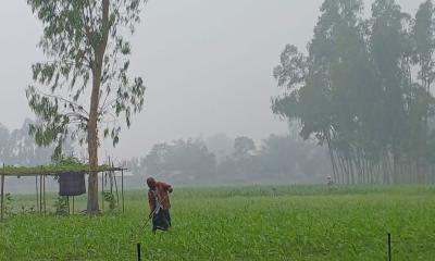 শৈত্যপ্রবাহের কবলে উত্তরবঙ্গ, দাপট থাকবে ঘন কুয়াশার
