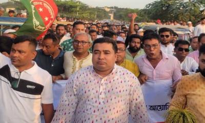 বাঞ্ছারামপুরে ধানের শীষের বিকল্প নেই: কৃষিবিদ পলাশ