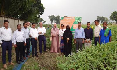 ঝিনাইদহে মালচিং পদ্ধতিতে গ্রীষ্মকালীন তরমুজ চাষে কৃষকের সাফল্য