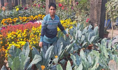 শহর ছেড়ে গ্রামে দর্শনীয় ছাদ বাগান