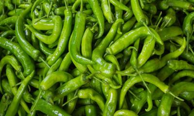 প্রতিদিন কাঁচা মরিচ খাওয়ার উপকারিতা