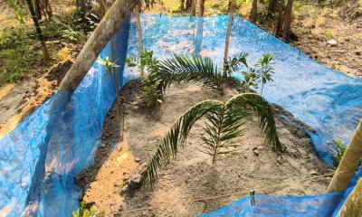 পাশাপাশি কবরে শায়িত সাদ্দামের স্ত্রী-সন্তান