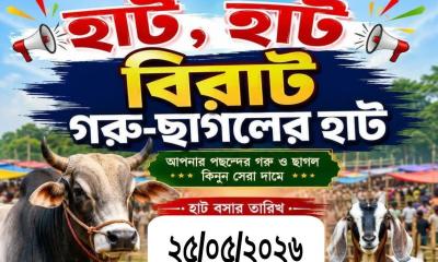 বাঞ্ছারামপুরে পশুর হাটের ইজারা বাতিল করতে ডিসিকে লিগ্যাল নোটিশ