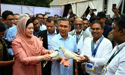 সংসদ ভবনের এলডি হলে প্রধানমন্ত্রীর বৃক্ষরোপণ
