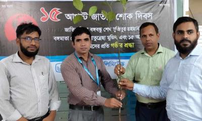 নবীনগরে জনতা ব্যাংকের উদ্যোগে মাসব্যাপী গাছের চারা বিতরণ