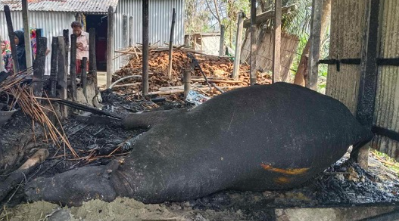 আগুন ছাই হয়ে গেল গরিব পরিবারের স্বপ্ন