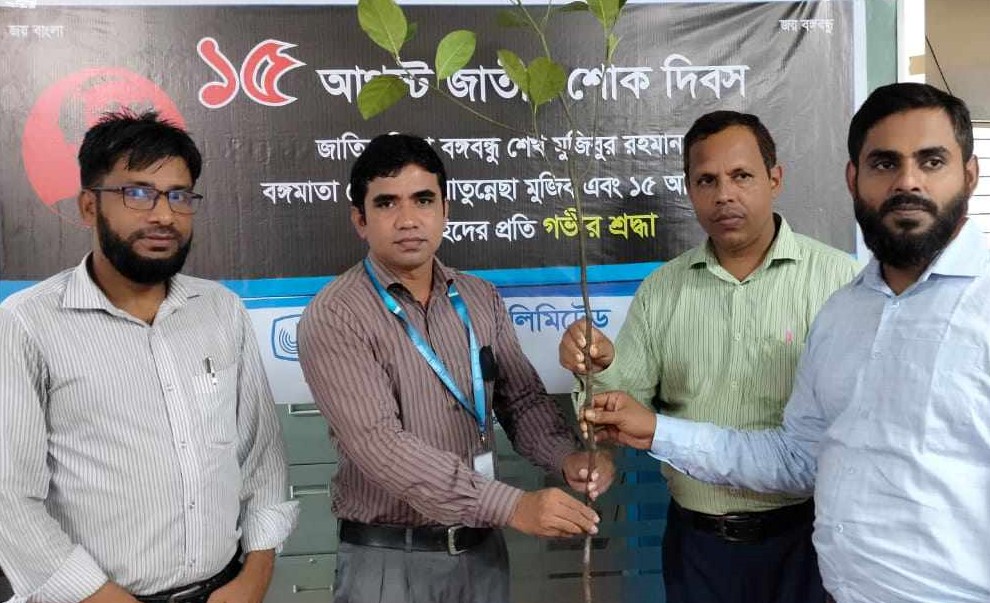 নবীনগরে জনতা ব্যাংকের উদ্যোগে মাসব্যাপী গাছের চারা বিতরণ
